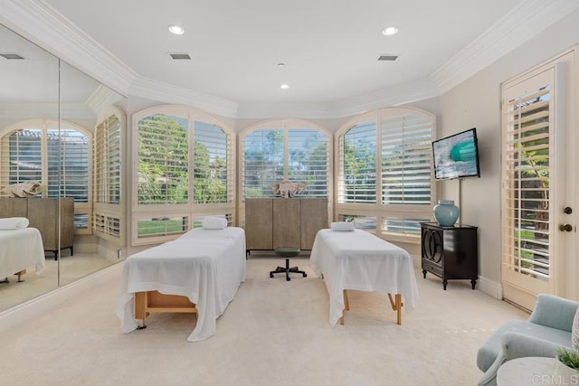 carpeted bedroom with multiple windows and crown molding