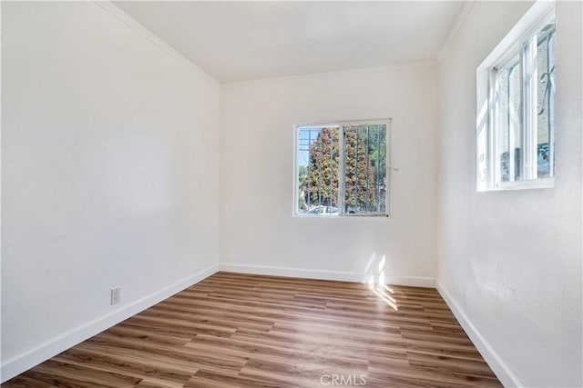 916 W 88th St, Los Angeles, CA 90044 - photo 34