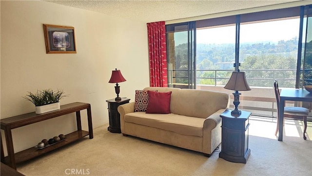 carpeted living area featuring a textured ceiling