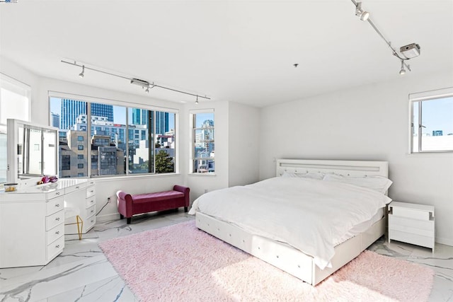 bedroom featuring multiple windows and rail lighting