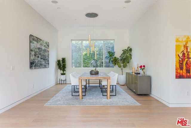 dining space featuring light hardwood / wood-style flooring