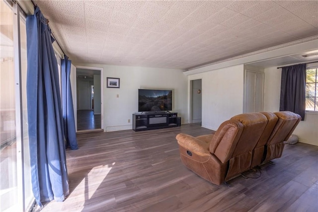 living room with wood-type flooring