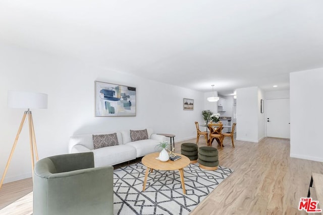 living room with light wood-type flooring