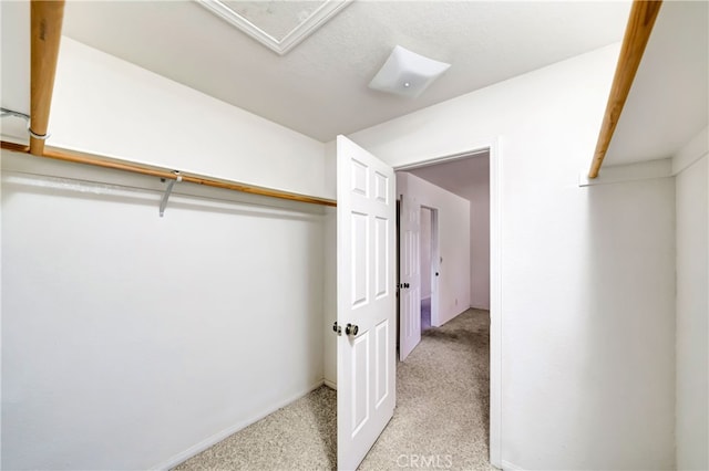 walk in closet with light carpet