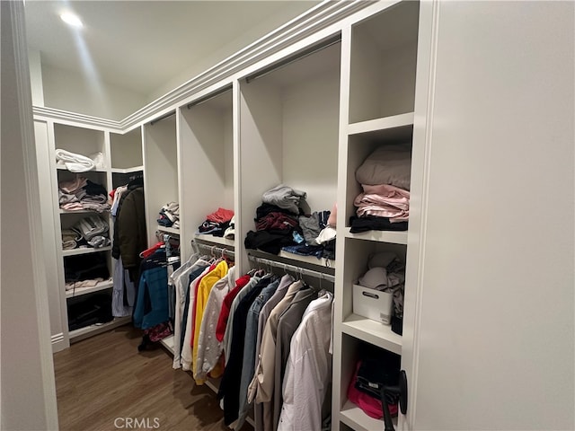 walk in closet with hardwood / wood-style floors