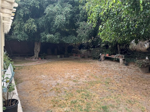 view of yard