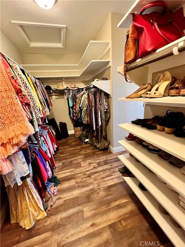 walk in closet featuring hardwood / wood-style flooring