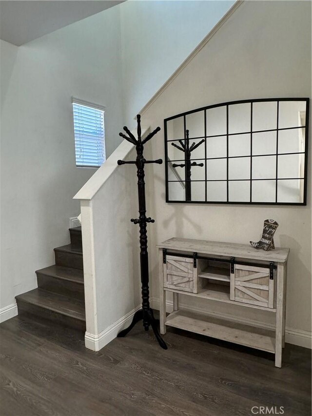 stairway with hardwood / wood-style floors