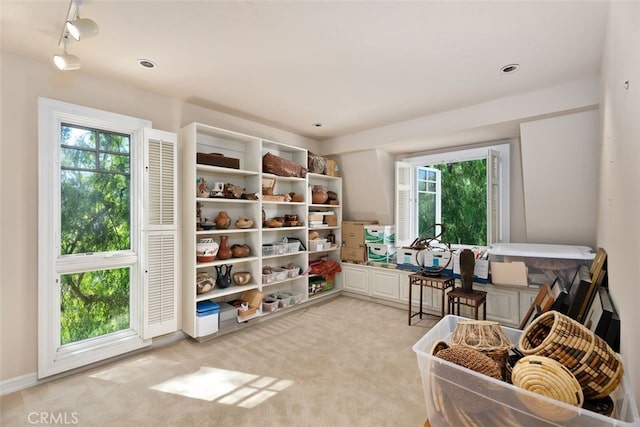 sitting room featuring light colored carpet and a wealth of natural light