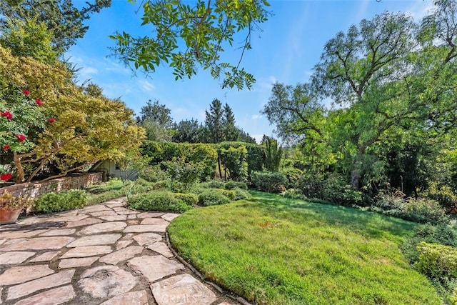 view of yard featuring a patio area