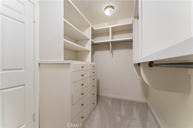 walk in closet with light colored carpet