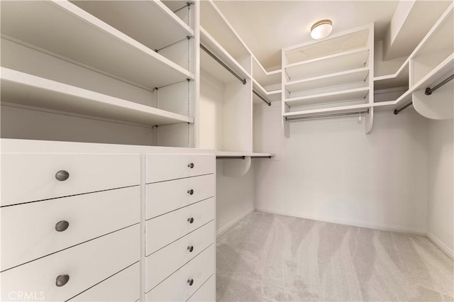 walk in closet featuring carpet floors