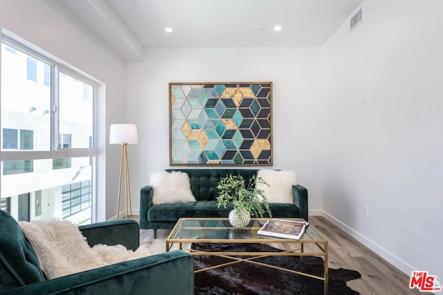 living room with wood-type flooring