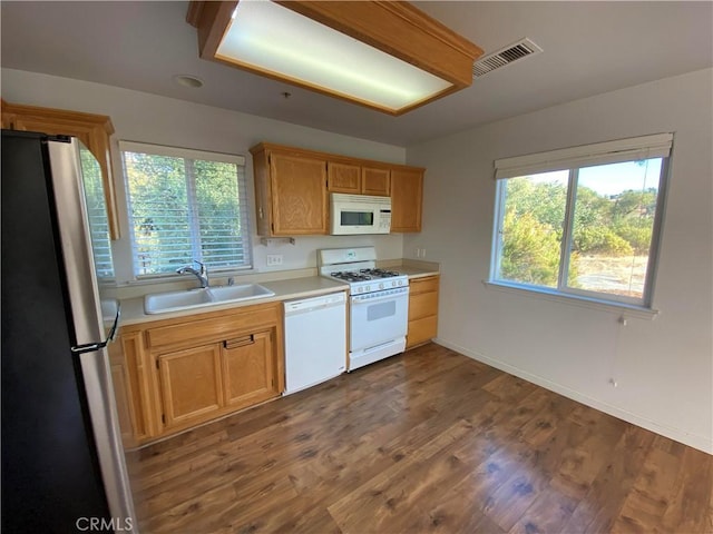 kitchen featuring white appliances, a healthy amount of sunlight, dark hardwood / wood-style floors, and sink