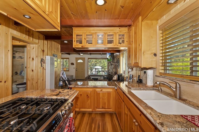 kitchen featuring light stone countertops, wooden ceiling, sink, and stainless steel stove