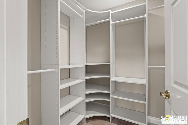 walk in closet with carpet flooring