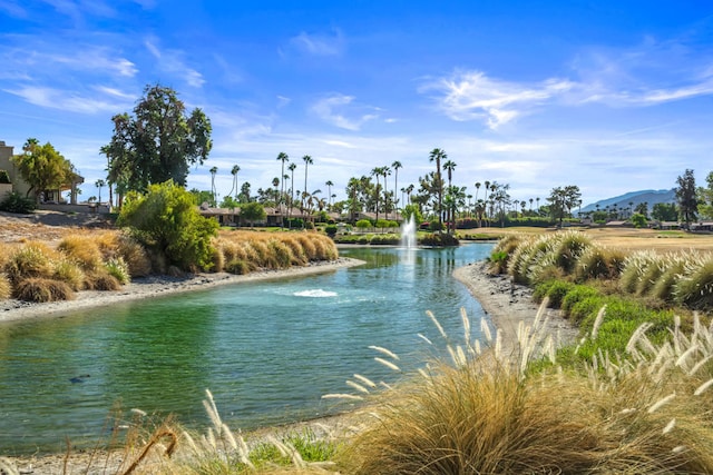 property view of water