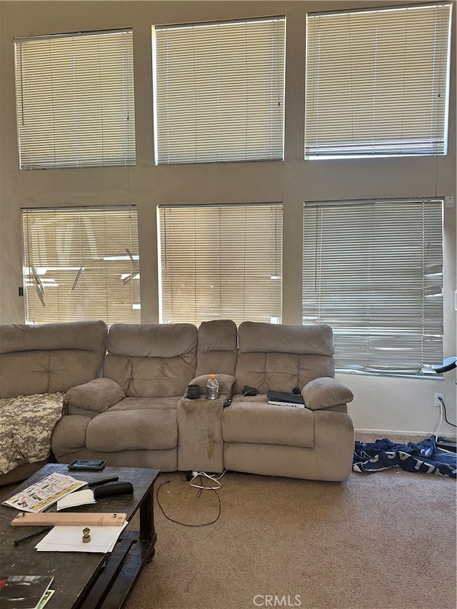 living room with carpet