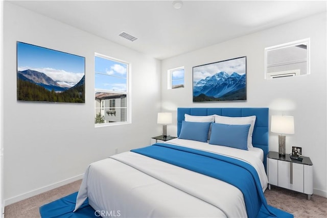 bedroom with carpet floors