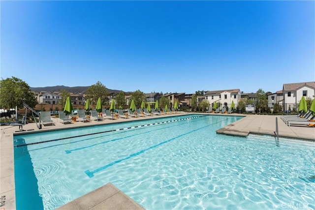 pool with a residential view