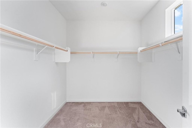 spacious closet featuring light carpet