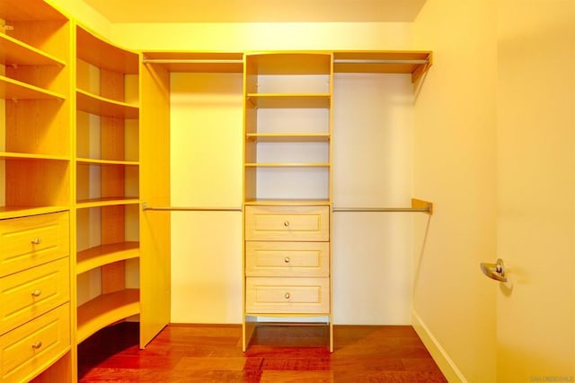 spacious closet featuring hardwood / wood-style flooring