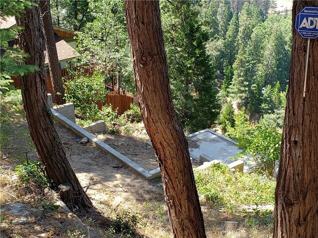 24240 Bernard Dr, Crestline, CA 92325 - photo 11