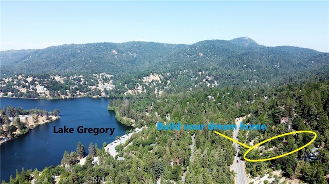 24240 Bernard Dr, Crestline, CA 92325 - photo 20