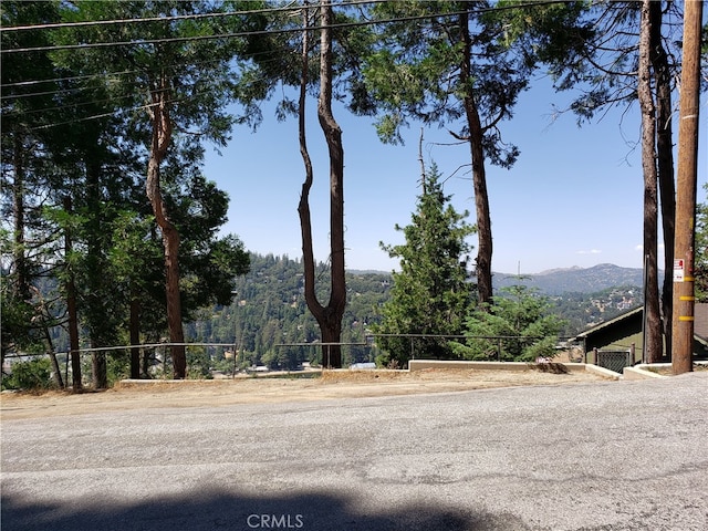 24240 Bernard Dr, Crestline, CA 92325 - photo 9