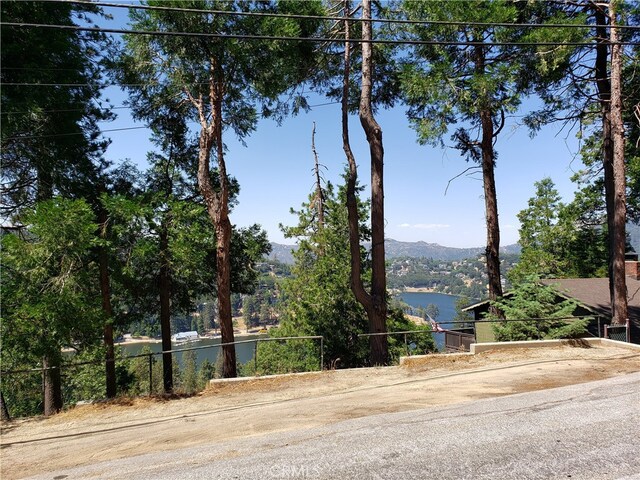 24240 Bernard Dr, Crestline, CA 92325 - photo 4