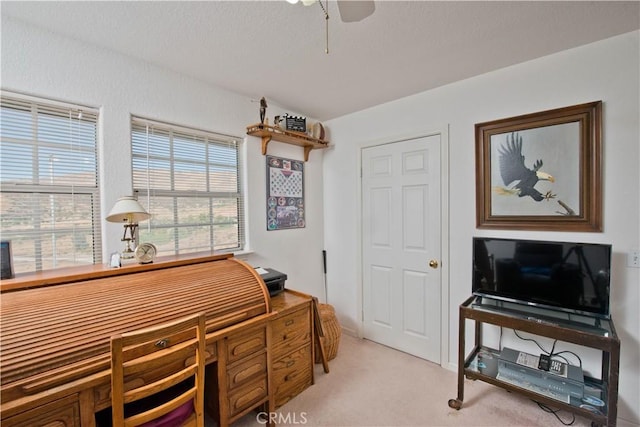 carpeted office with ceiling fan