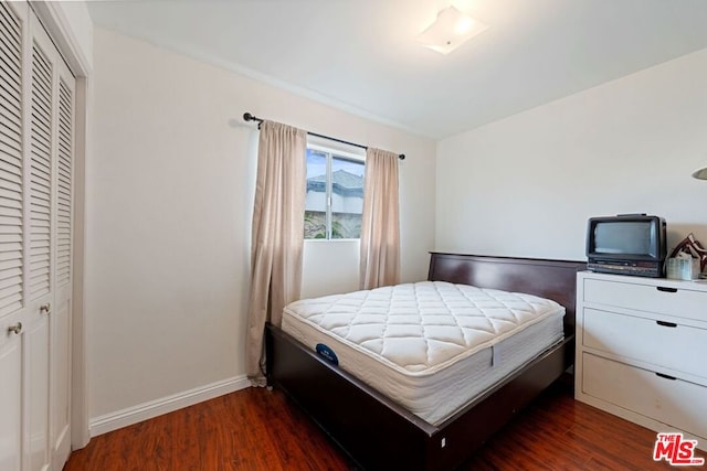 bedroom featuring dark wood-type flooring and a closet