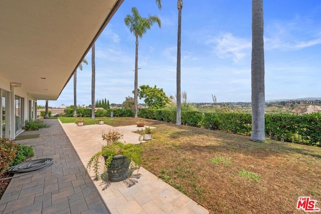 view of yard featuring a patio area