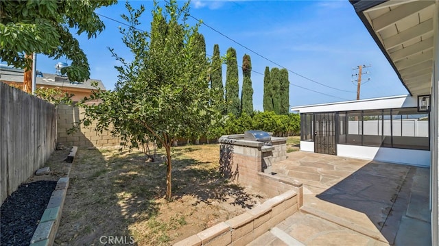 view of yard with a sunroom and a patio area