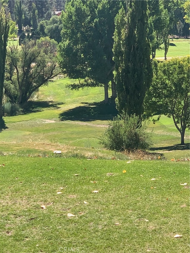 view of property's community featuring a lawn