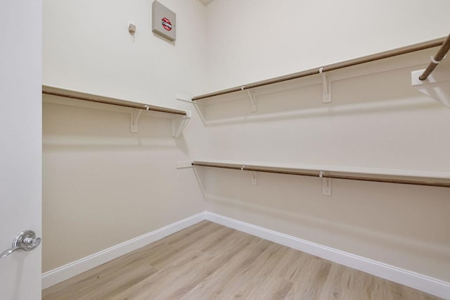 walk in closet with light hardwood / wood-style floors