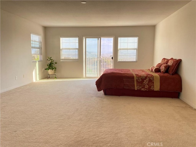 carpeted bedroom featuring access to exterior