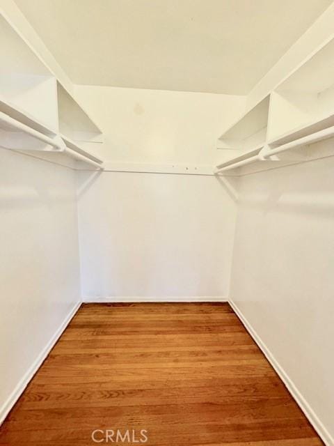 spacious closet featuring hardwood / wood-style flooring