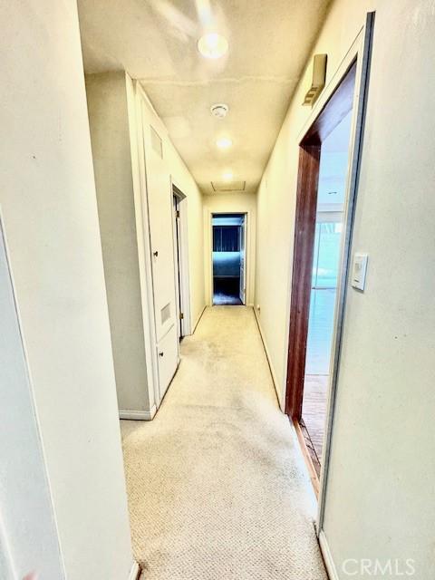 corridor with light colored carpet