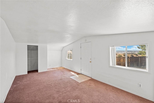 additional living space with vaulted ceiling, carpet, and a textured ceiling