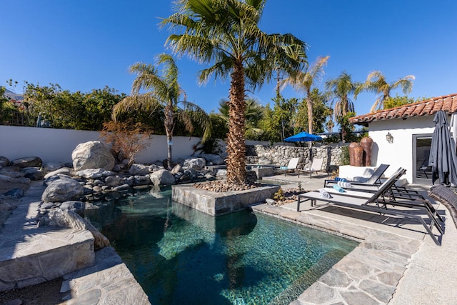 view of pool featuring a patio area