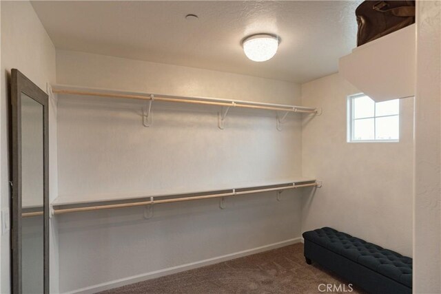 400 Verte St, Chowchilla, CA 93610 - photo 48