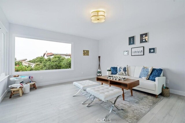 living room featuring light hardwood / wood-style floors