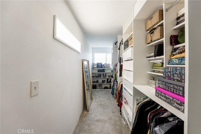 spacious closet featuring light carpet