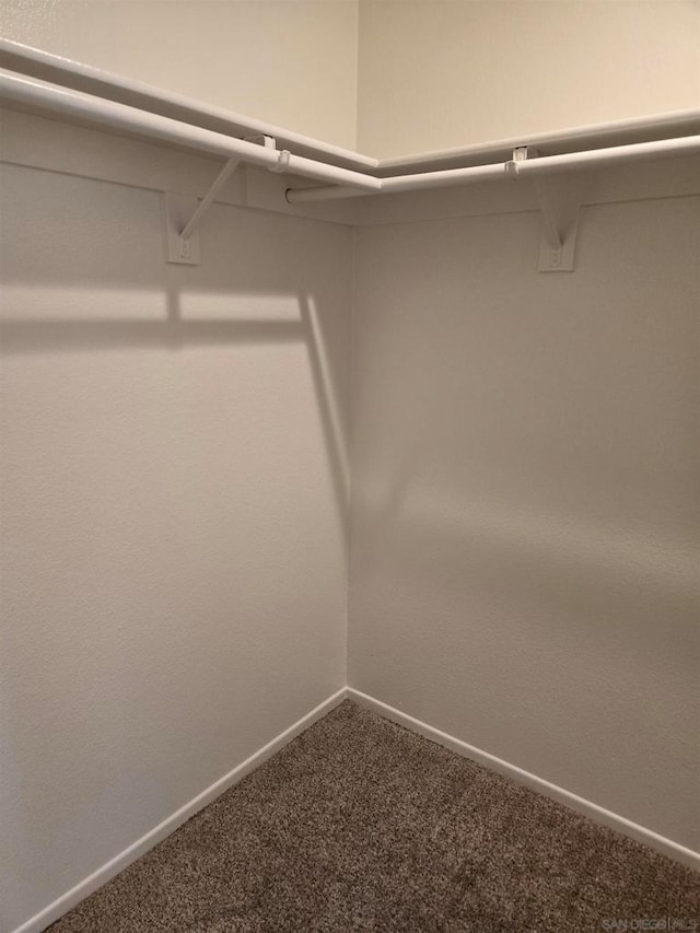 spacious closet featuring carpet floors