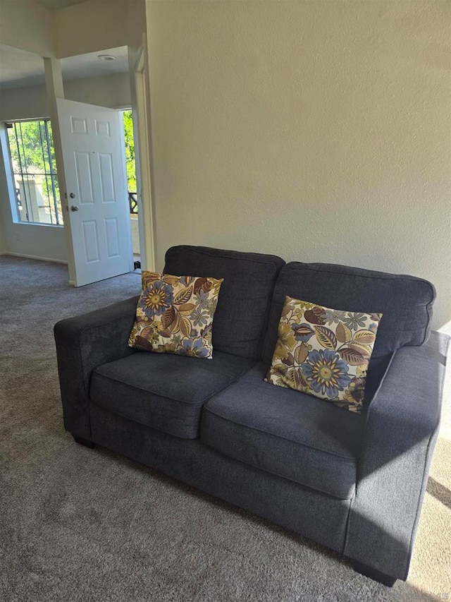 living room featuring carpet floors