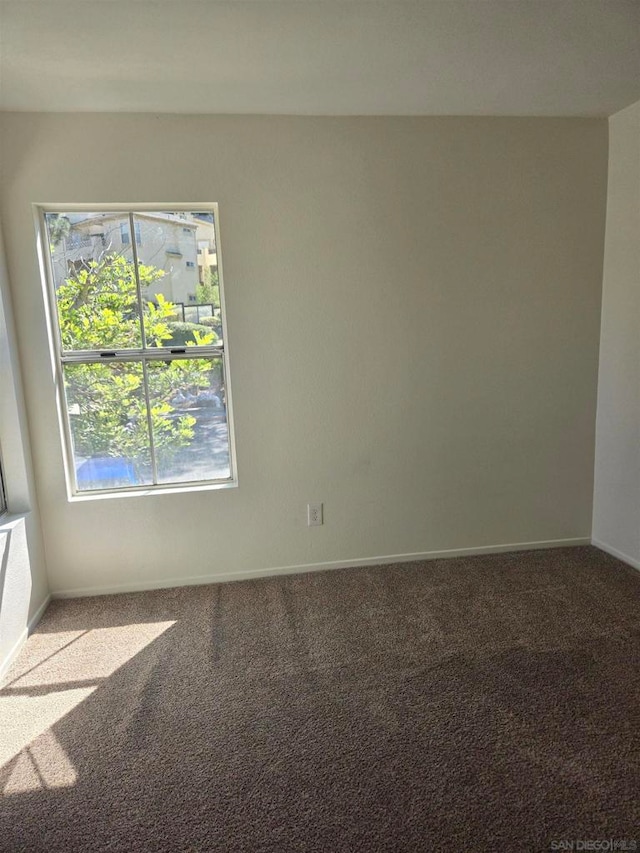 spare room with carpet floors