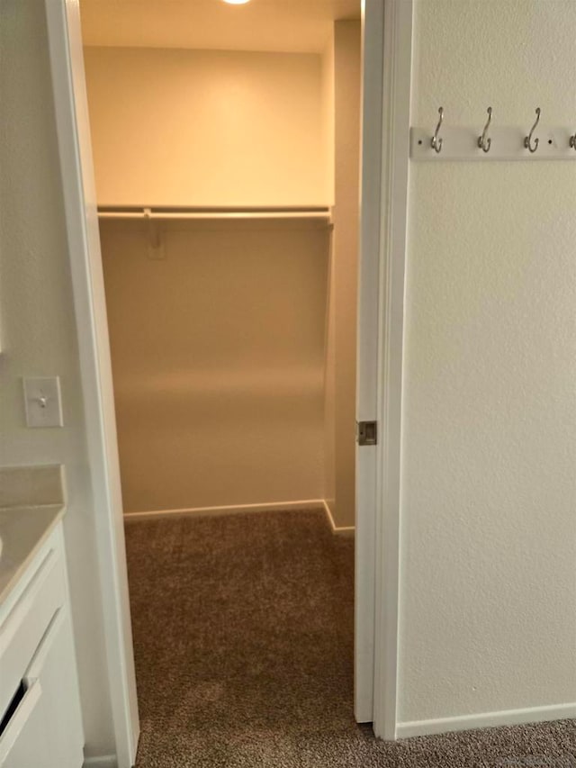 spacious closet with carpet floors