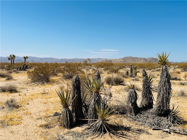 5 Sunset Rd, Joshua Tree CA, 92252 land for sale