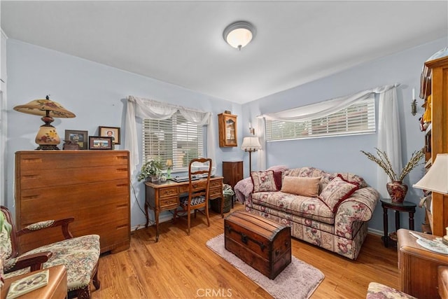 living room featuring light wood-type flooring